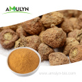 Natural maca root extract powder